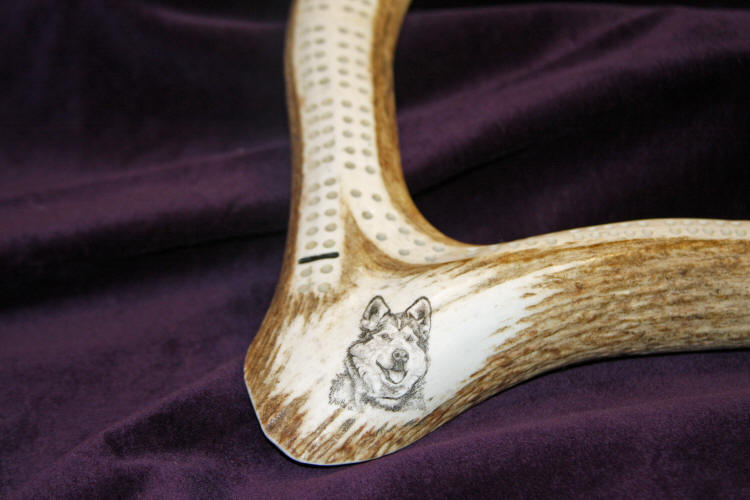 Scrimshaw Antler Cribbage Board Made From Moose Elk Deer And Caribou